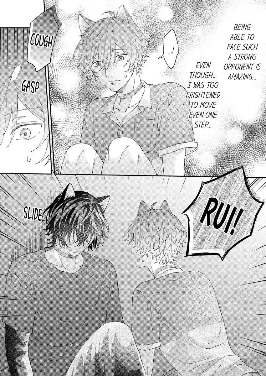 Haru To Rui No Nyanderful Love Life! - Chapter 15