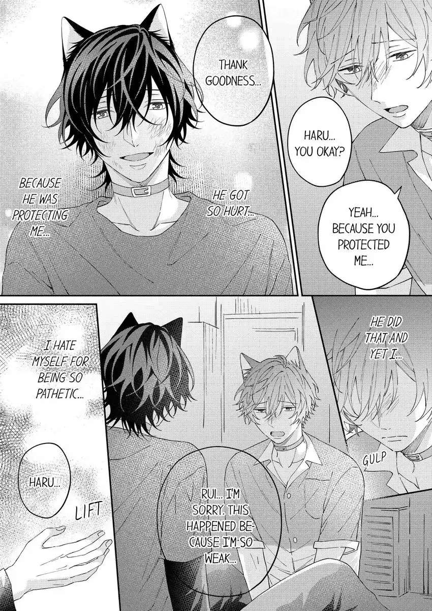 Haru To Rui No Nyanderful Love Life! - Chapter 15