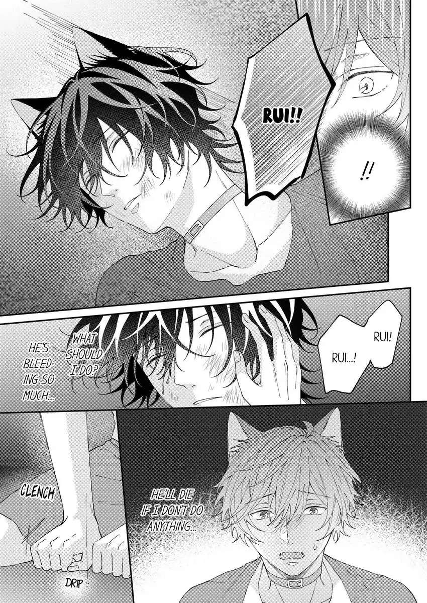 Haru To Rui No Nyanderful Love Life! - Chapter 15