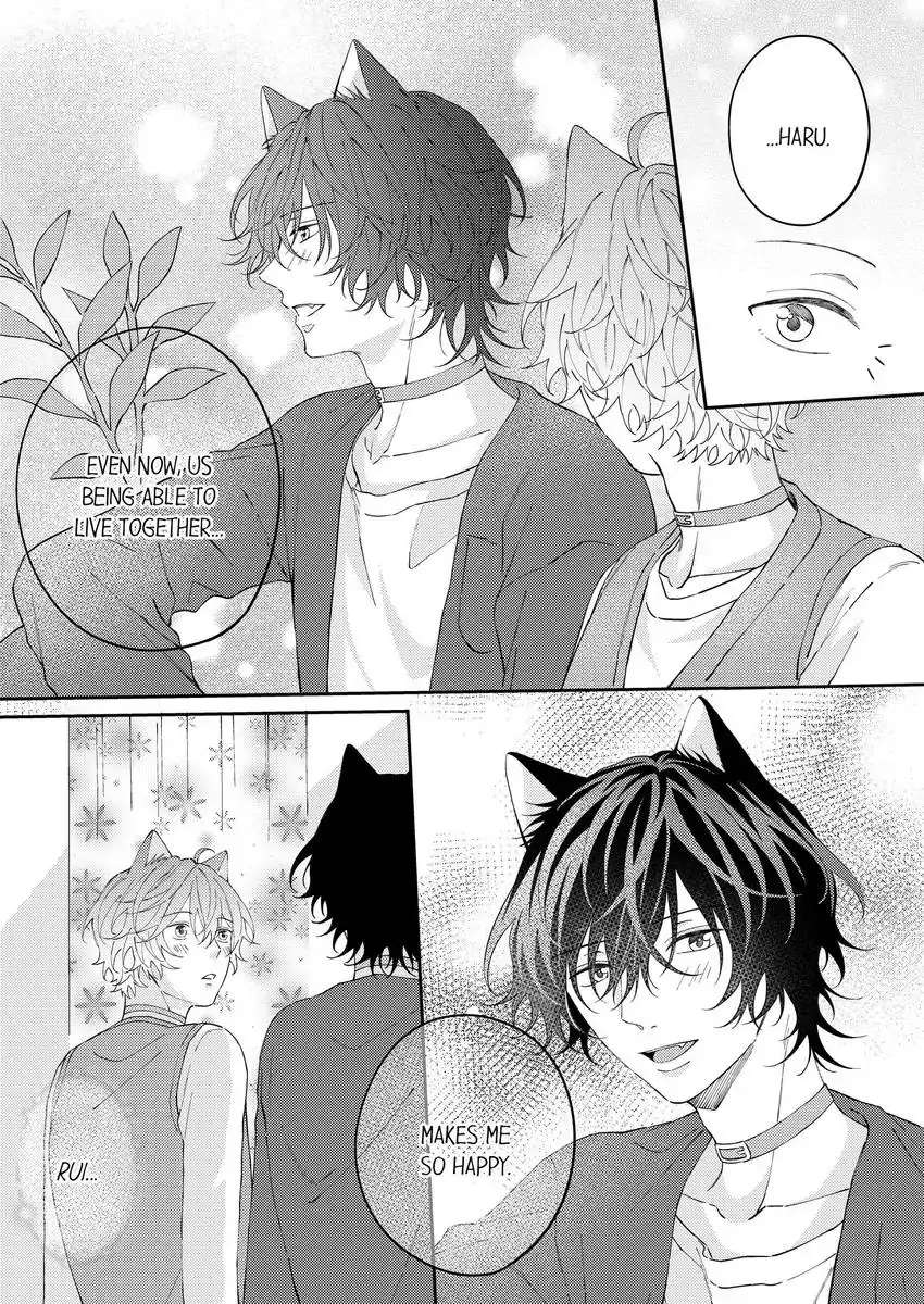 Haru To Rui No Nyanderful Love Life! - Chapter 19