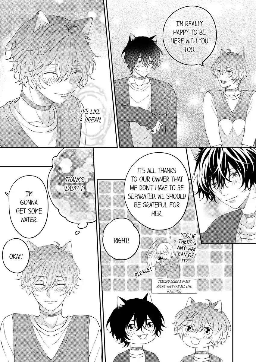 Haru To Rui No Nyanderful Love Life! - Chapter 19