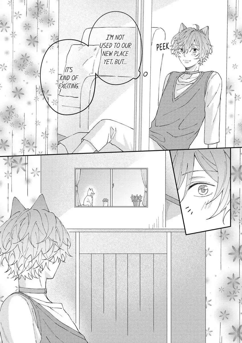 Haru To Rui No Nyanderful Love Life! - Chapter 19