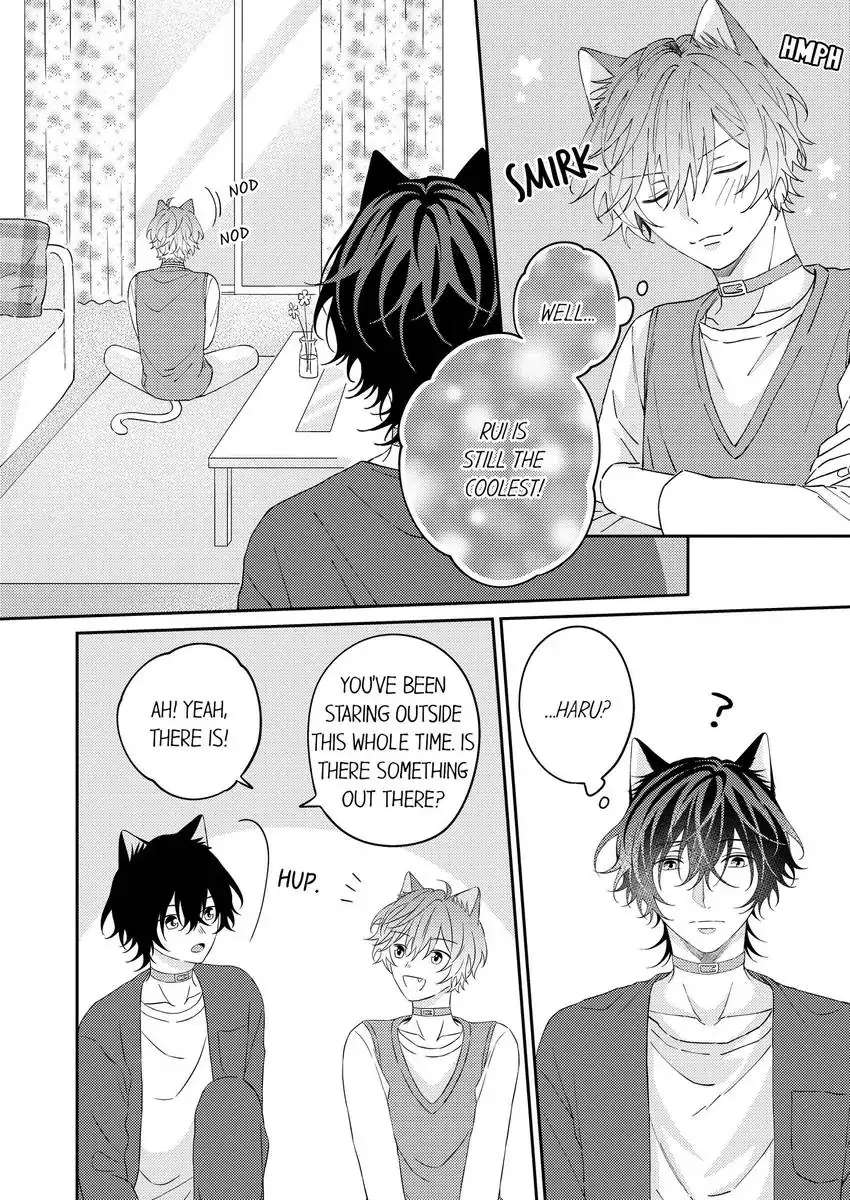 Haru To Rui No Nyanderful Love Life! - Chapter 19