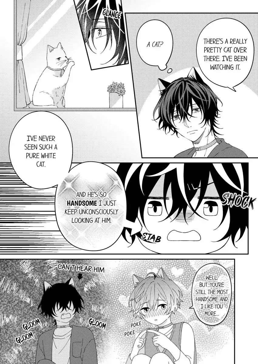 Haru To Rui No Nyanderful Love Life! - Chapter 19