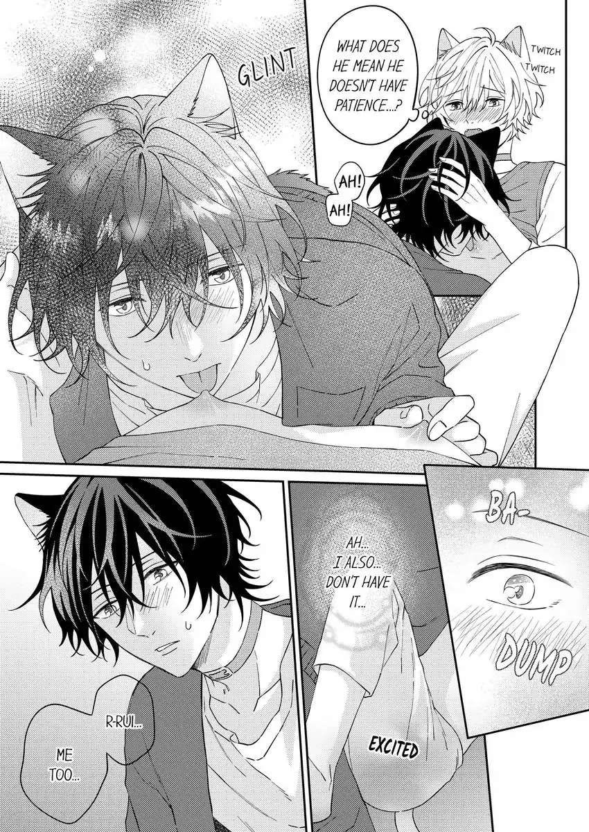 Haru To Rui No Nyanderful Love Life! - Chapter 21