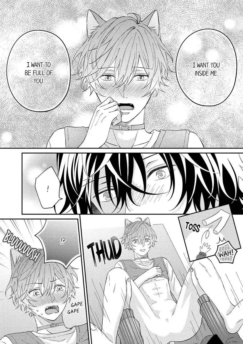 Haru To Rui No Nyanderful Love Life! - Chapter 21