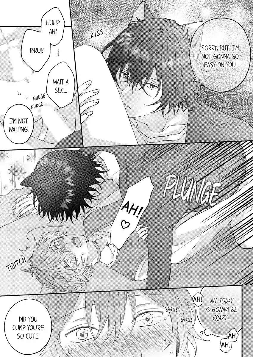 Haru To Rui No Nyanderful Love Life! - Chapter 21