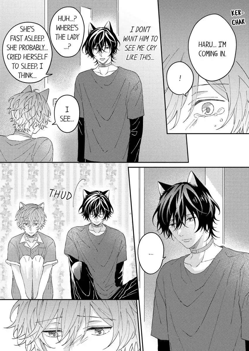 Haru To Rui No Nyanderful Love Life! - Chapter 13