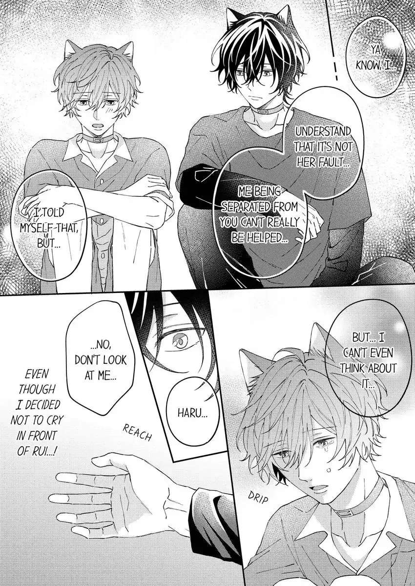 Haru To Rui No Nyanderful Love Life! - Chapter 13