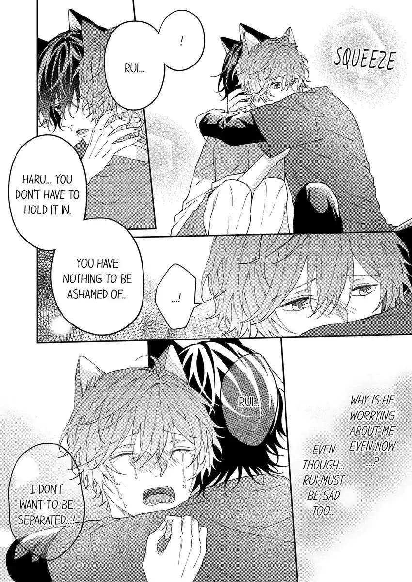 Haru To Rui No Nyanderful Love Life! - Chapter 13