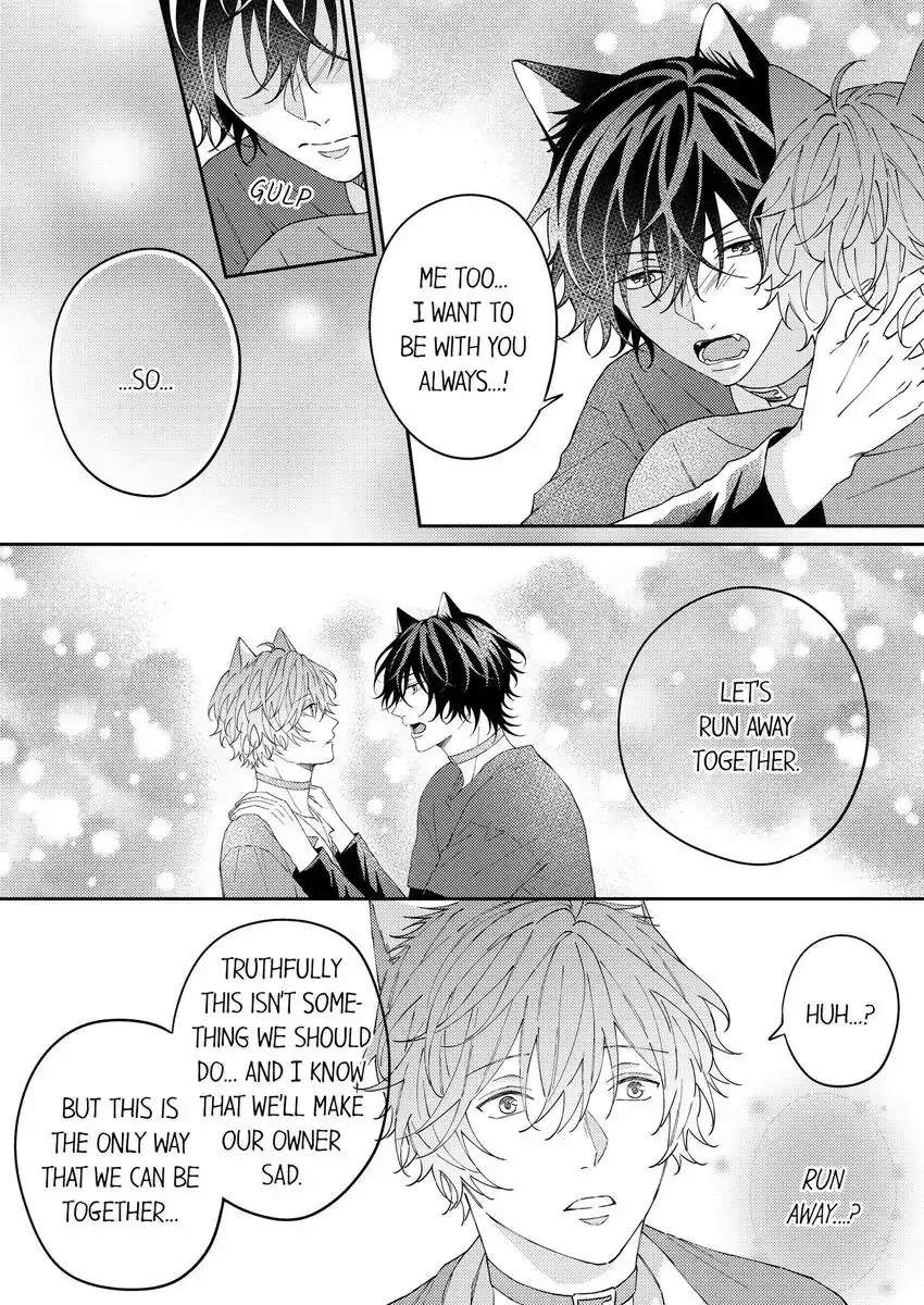 Haru To Rui No Nyanderful Love Life! - Chapter 13