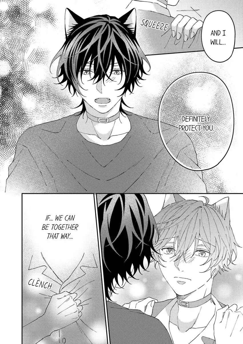 Haru To Rui No Nyanderful Love Life! - Chapter 13