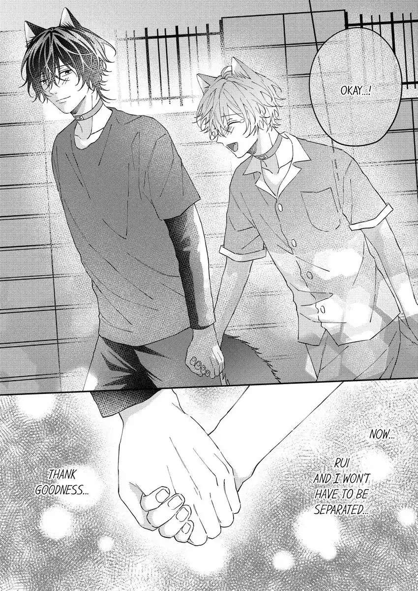 Haru To Rui No Nyanderful Love Life! - Chapter 13