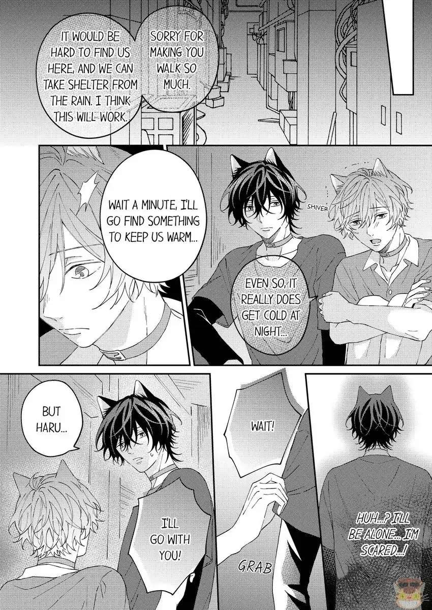 Haru To Rui No Nyanderful Love Life! - Chapter 13