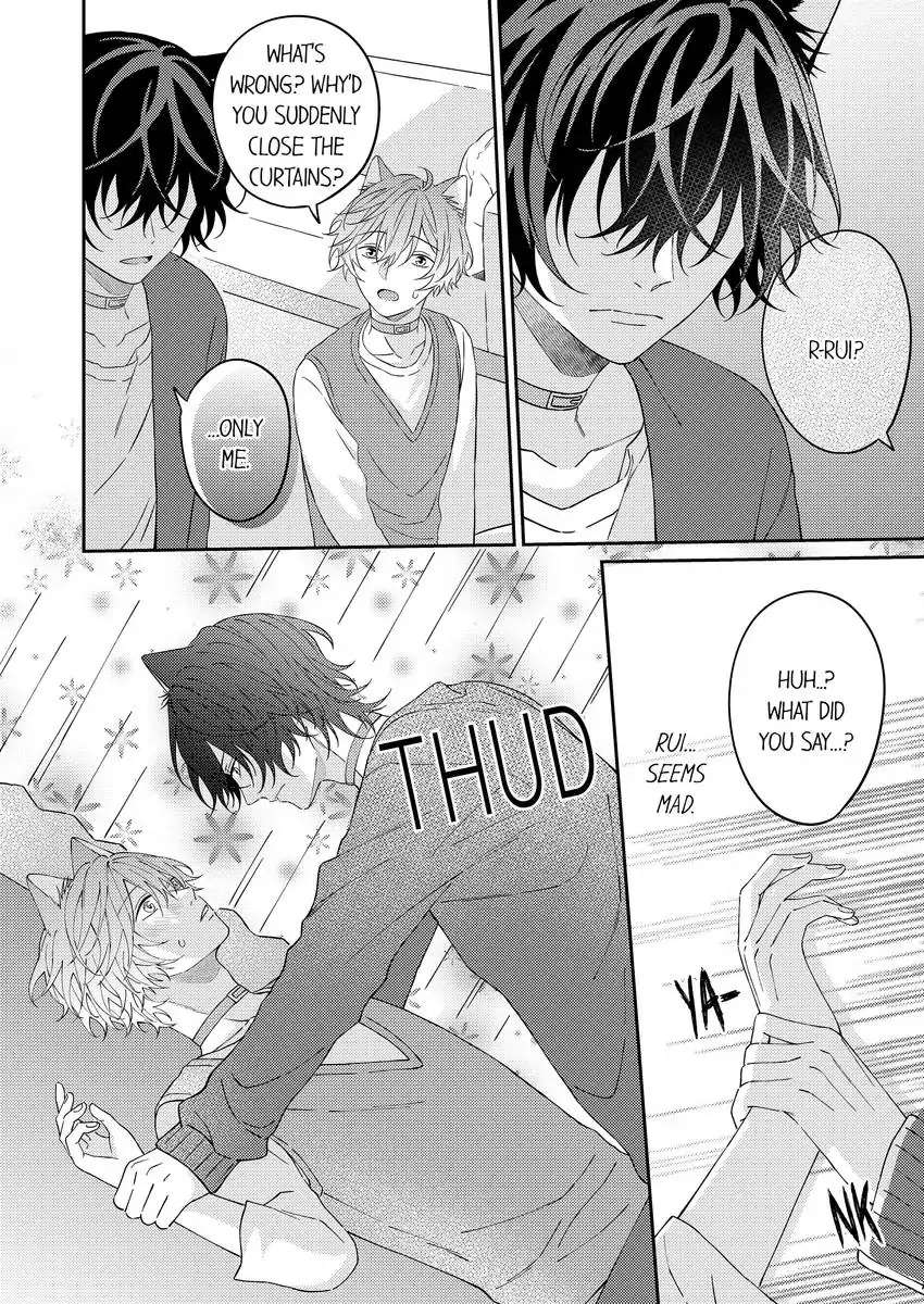 Haru To Rui No Nyanderful Love Life! - Chapter 20