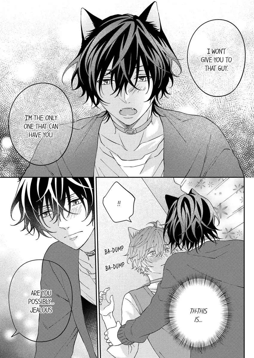 Haru To Rui No Nyanderful Love Life! - Chapter 20