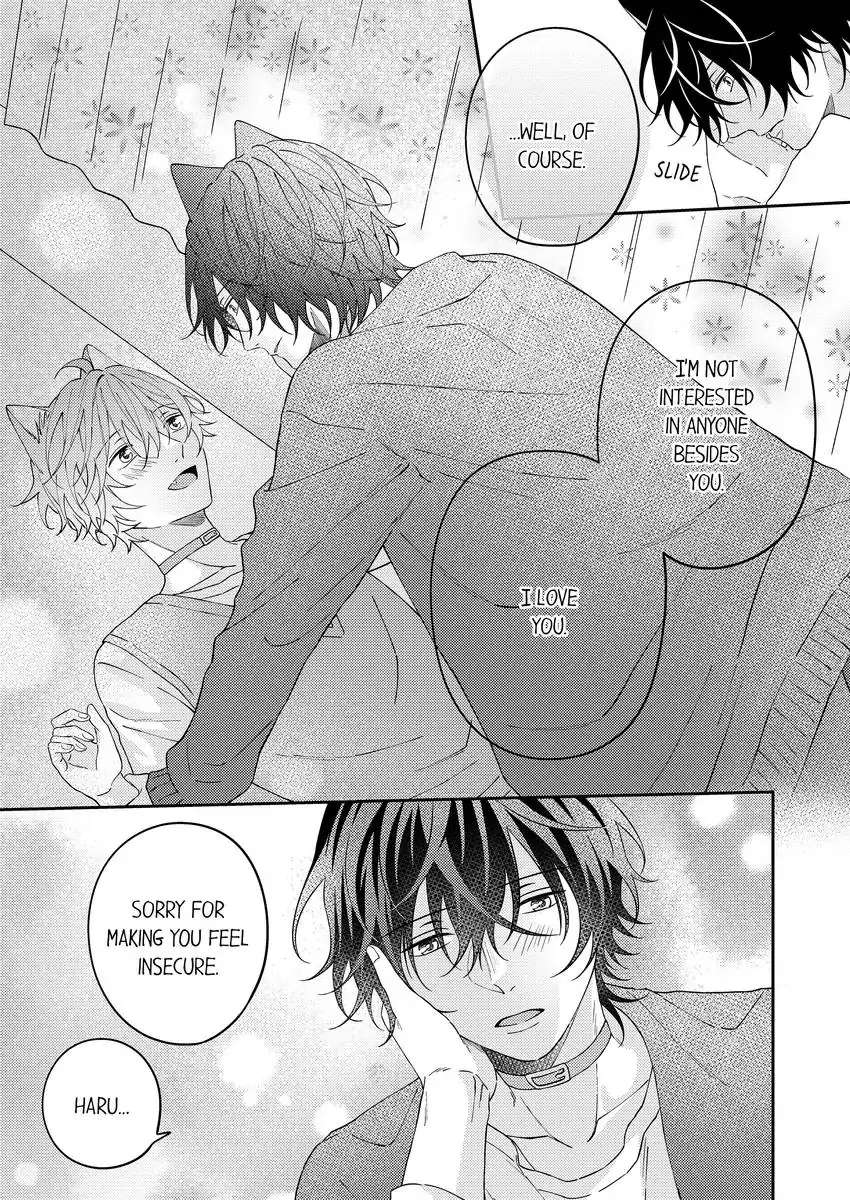 Haru To Rui No Nyanderful Love Life! - Chapter 20