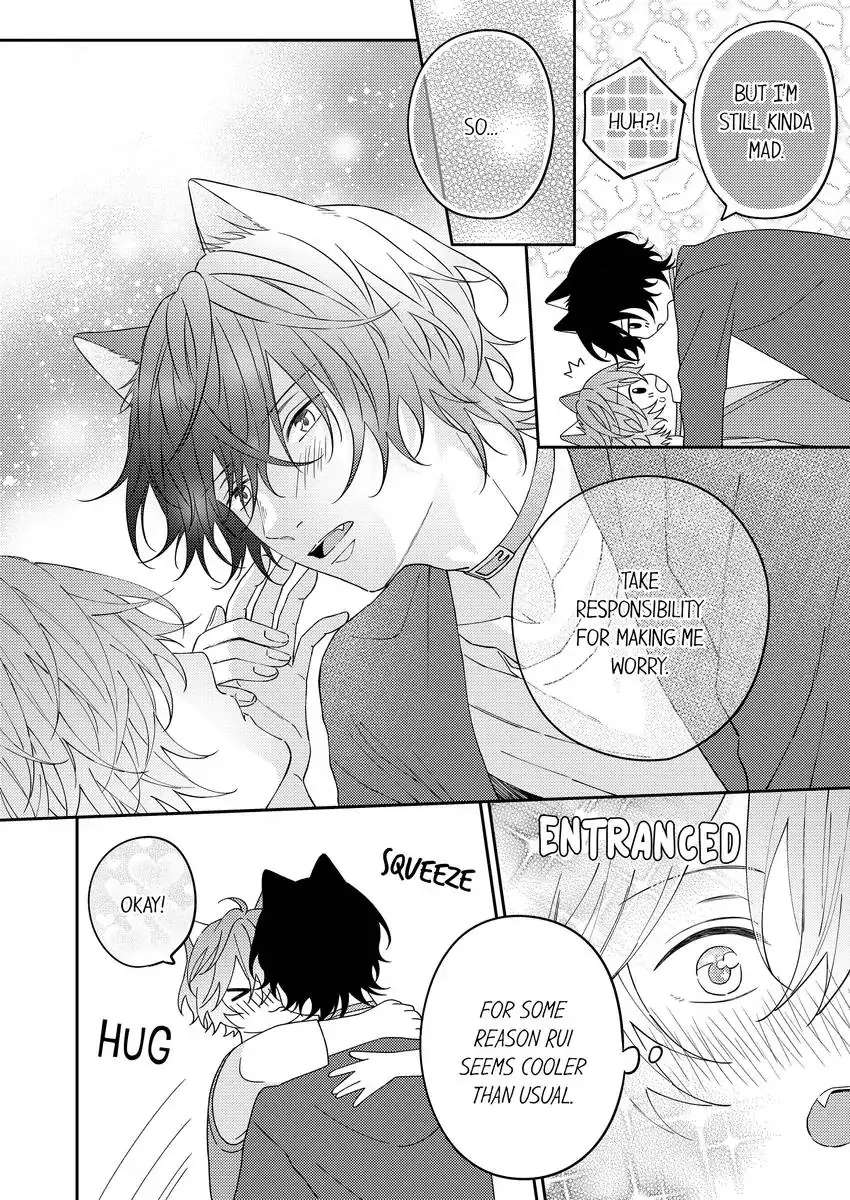 Haru To Rui No Nyanderful Love Life! - Chapter 20