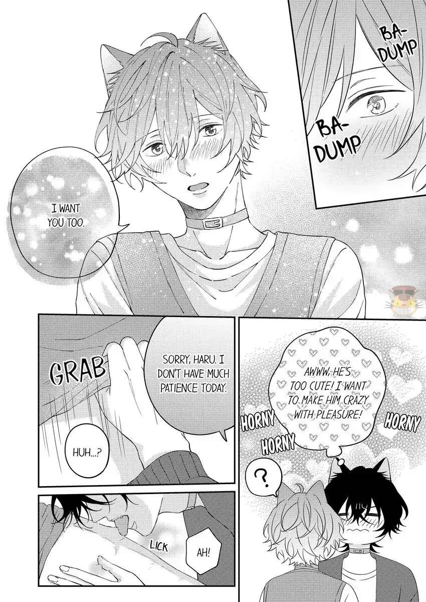 Haru To Rui No Nyanderful Love Life! - Chapter 20