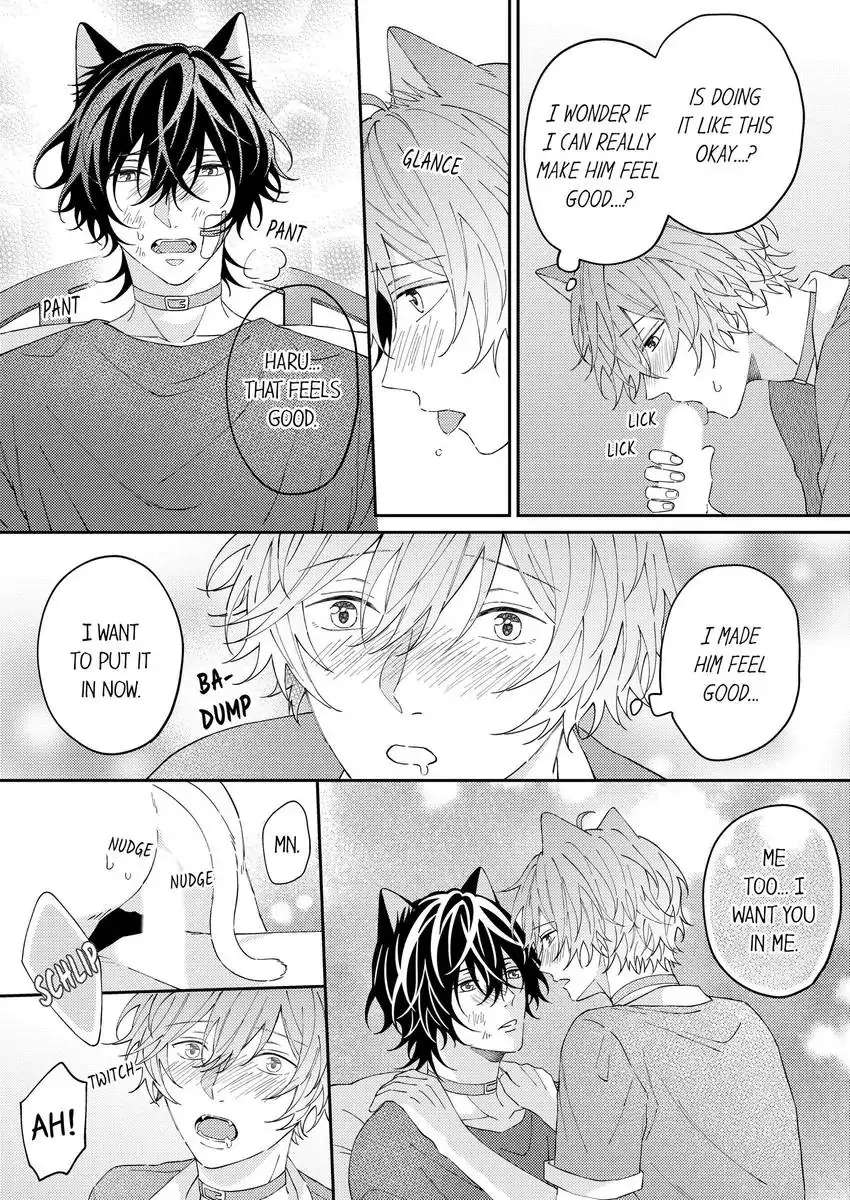 Haru To Rui No Nyanderful Love Life! - Chapter 18