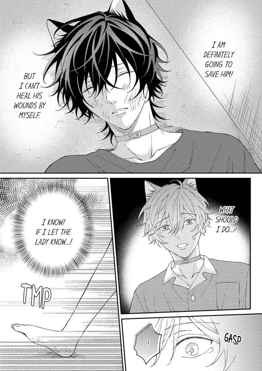 Haru To Rui No Nyanderful Love Life! - Chapter 16