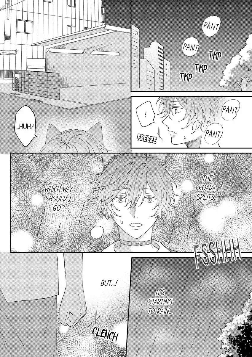 Haru To Rui No Nyanderful Love Life! - Chapter 16