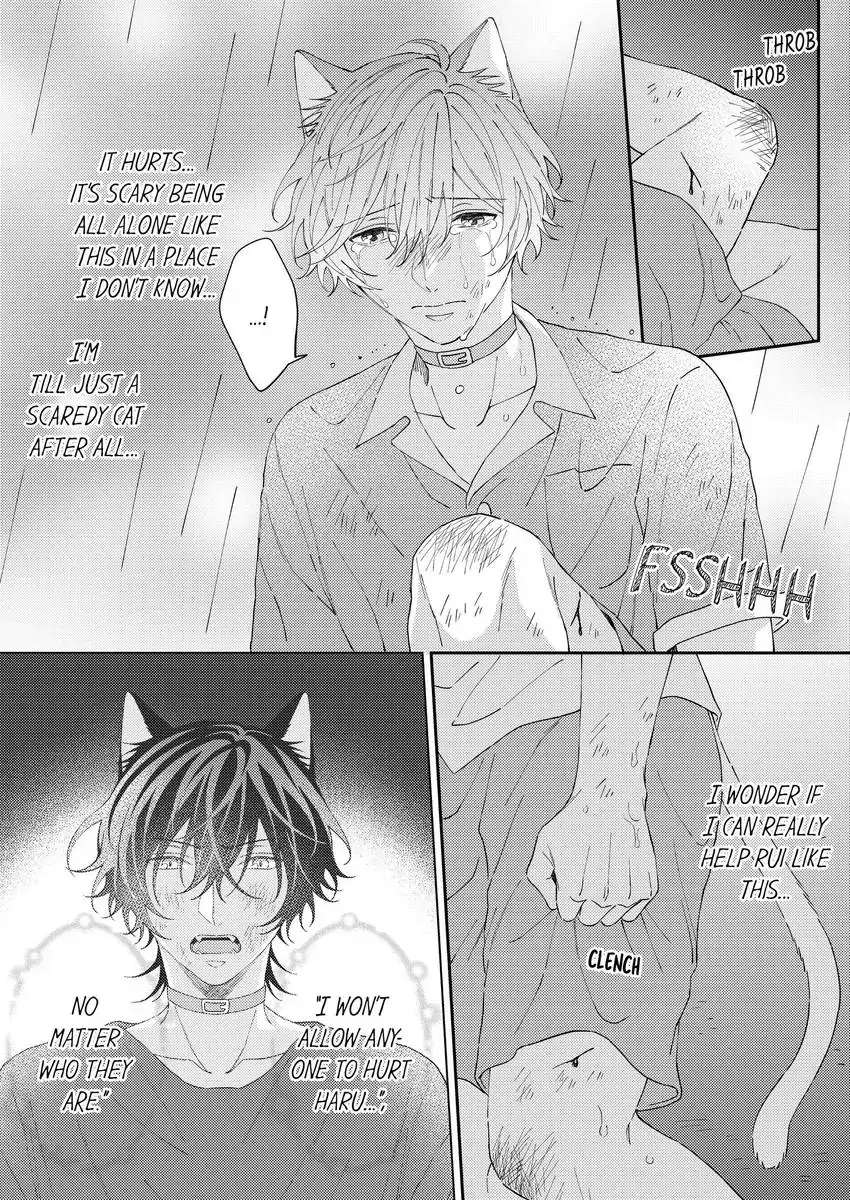 Haru To Rui No Nyanderful Love Life! - Chapter 16