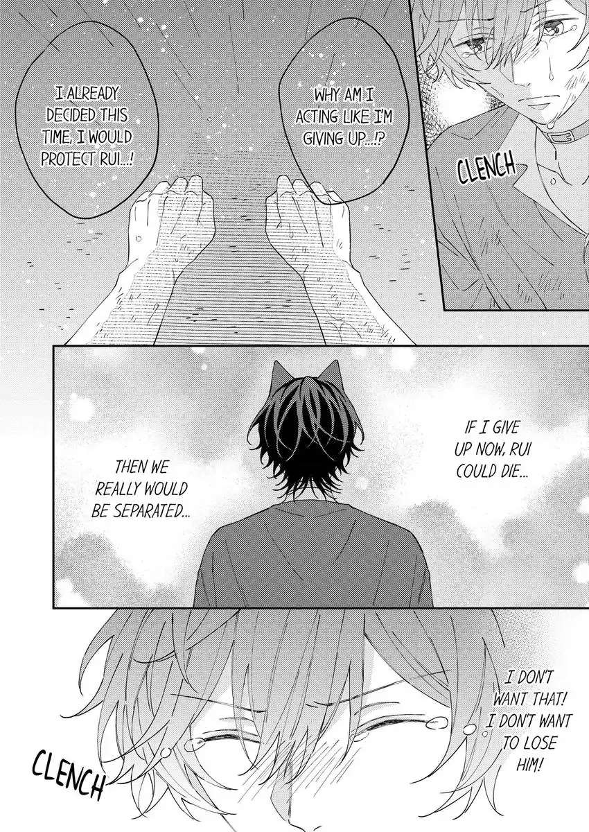 Haru To Rui No Nyanderful Love Life! - Chapter 16