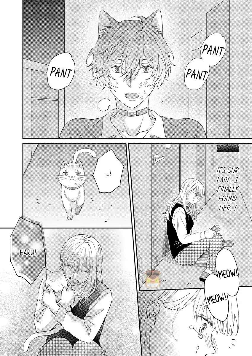 Haru To Rui No Nyanderful Love Life! - Chapter 16