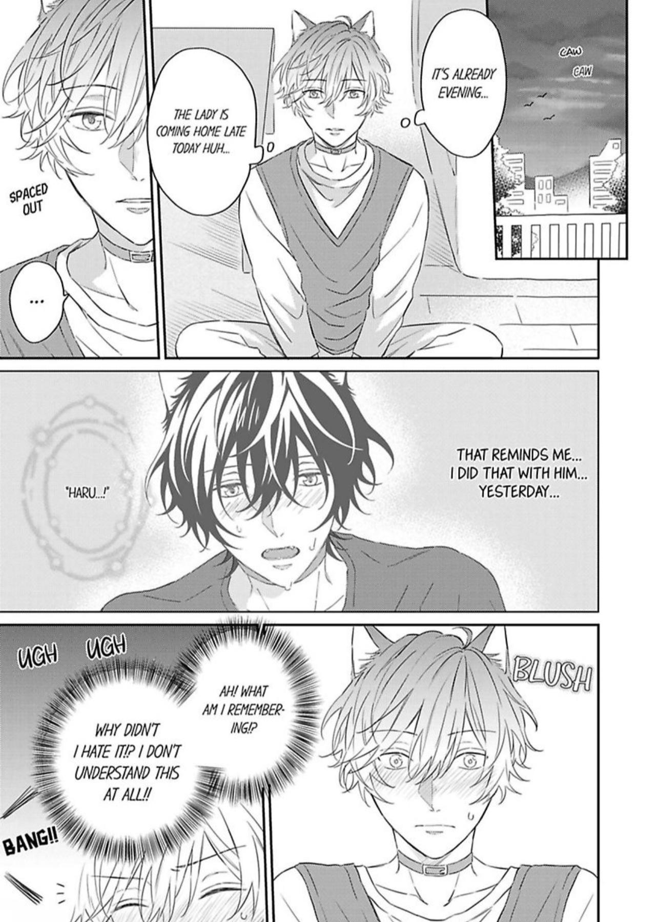 Haru To Rui No Nyanderful Love Life! - Chapter 3