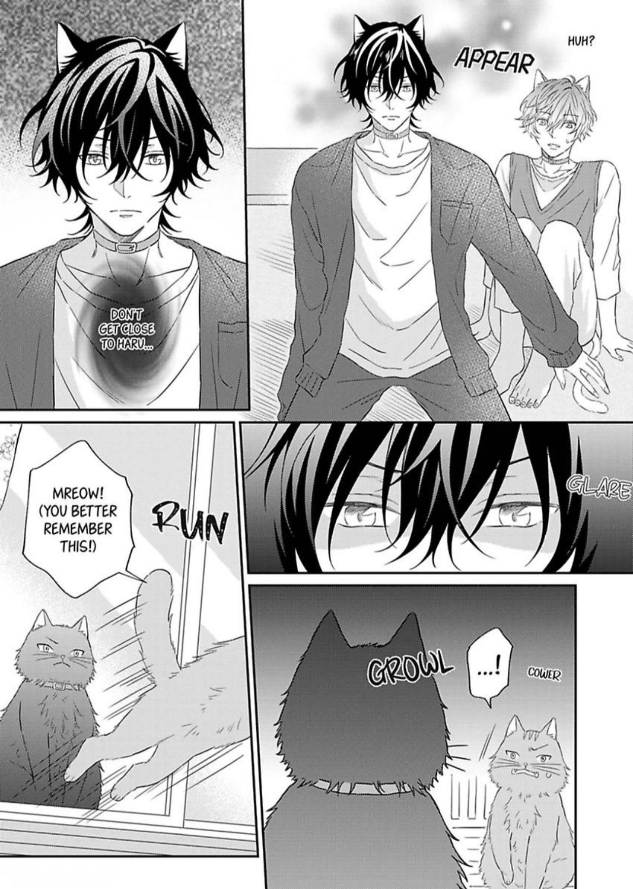 Haru To Rui No Nyanderful Love Life! - Chapter 3