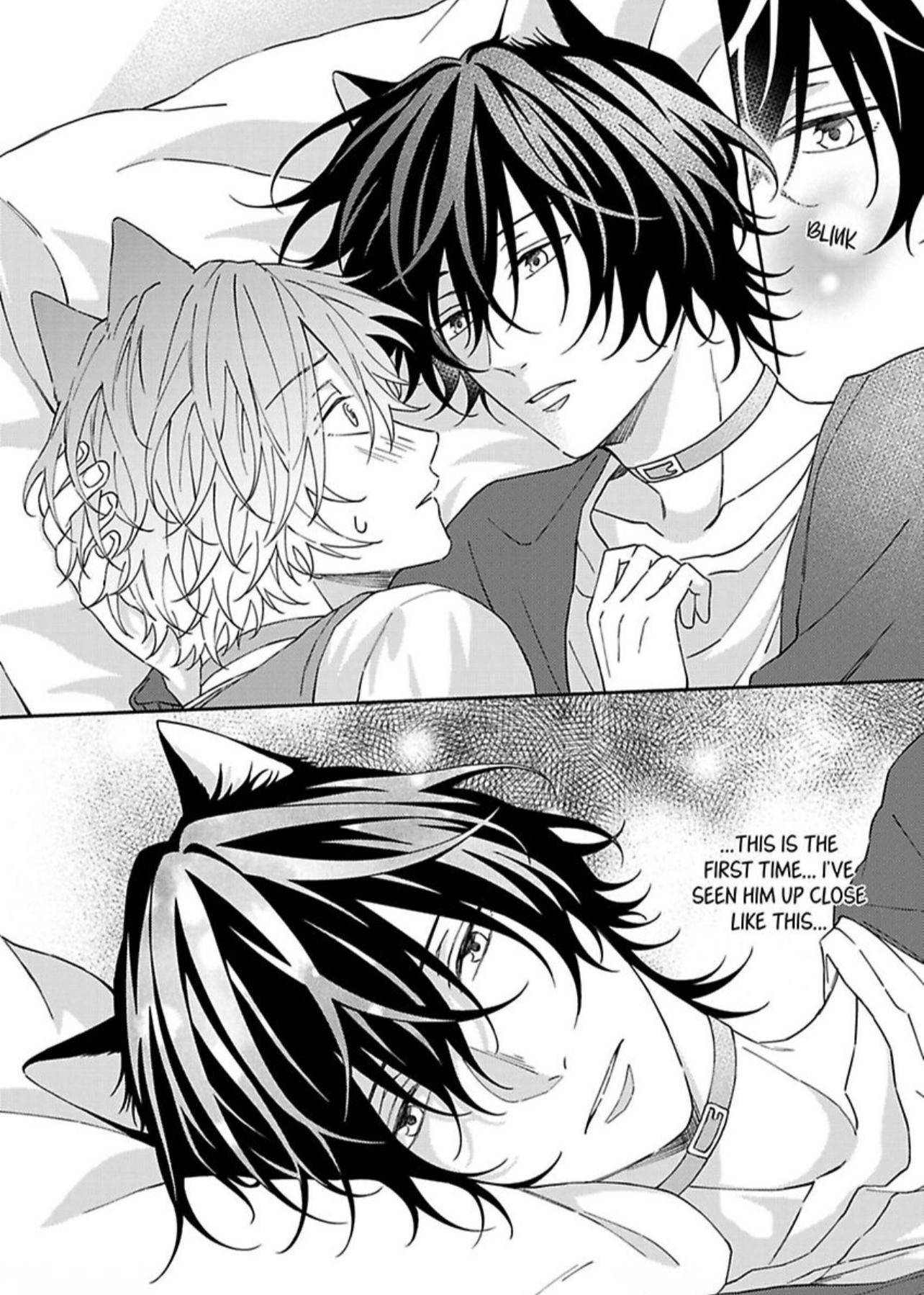 Haru To Rui No Nyanderful Love Life! - Chapter 3