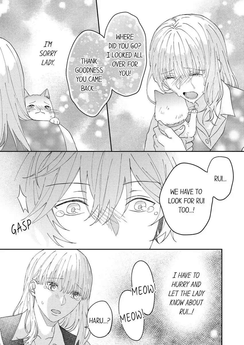 Haru To Rui No Nyanderful Love Life! - Chapter 17