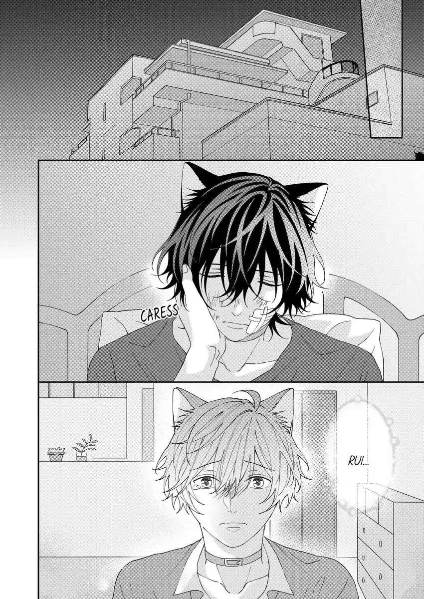 Haru To Rui No Nyanderful Love Life! - Chapter 17