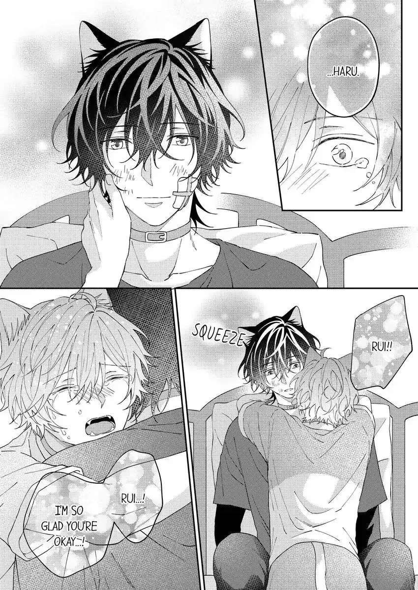 Haru To Rui No Nyanderful Love Life! - Chapter 17