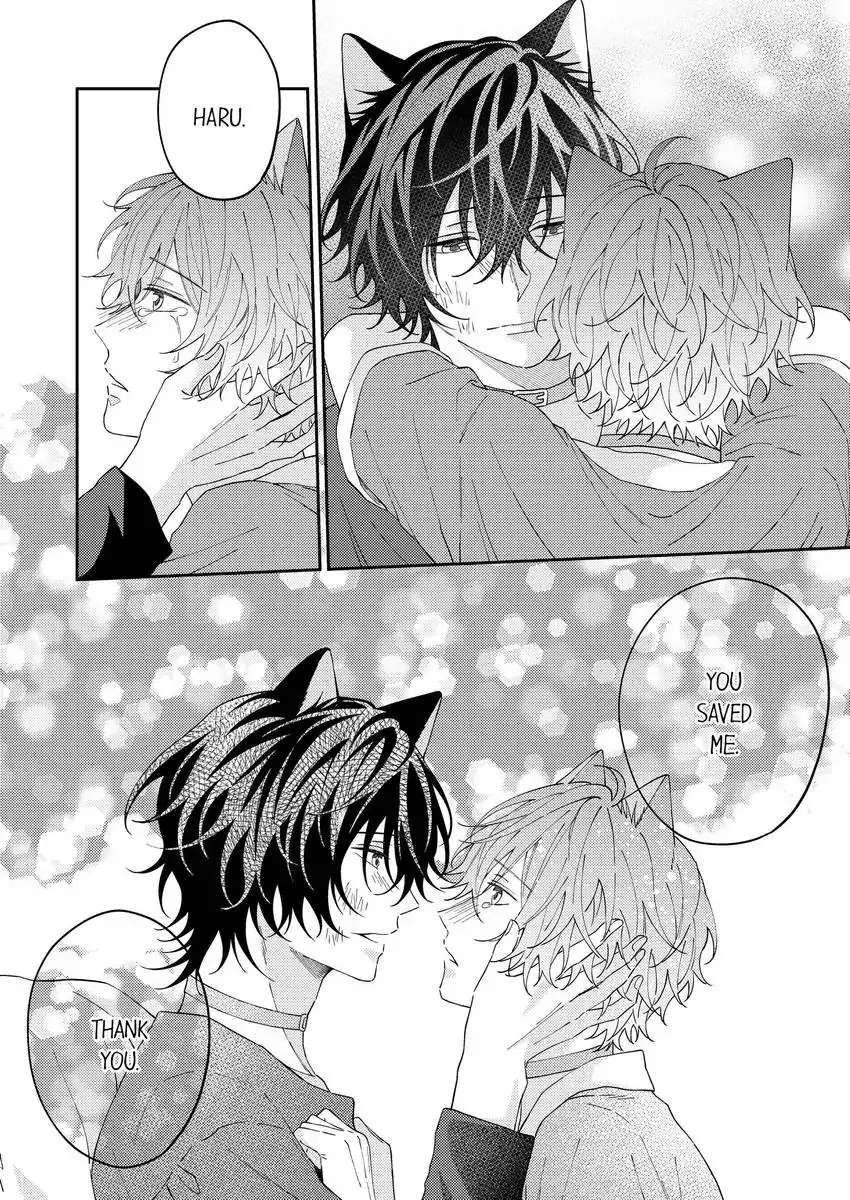 Haru To Rui No Nyanderful Love Life! - Chapter 17