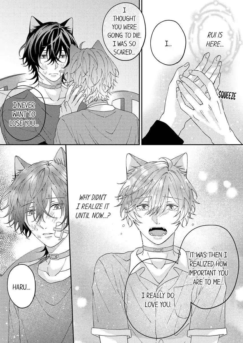 Haru To Rui No Nyanderful Love Life! - Chapter 17