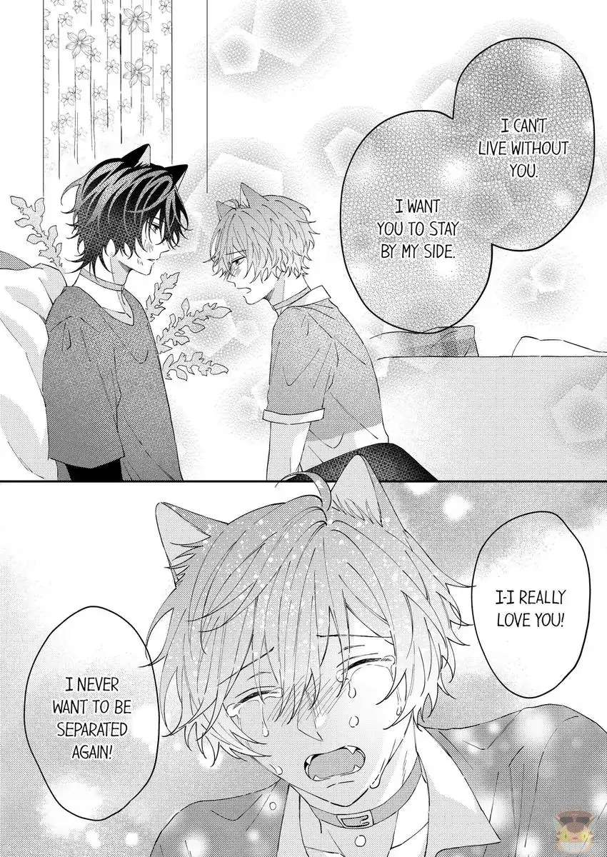 Haru To Rui No Nyanderful Love Life! - Chapter 17