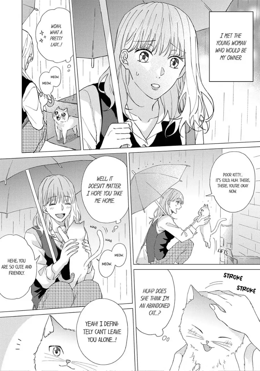 Haru To Rui No Nyanderful Love Life! - Chapter 1