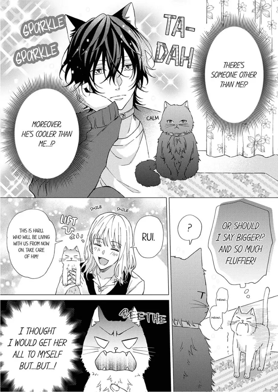 Haru To Rui No Nyanderful Love Life! - Chapter 1