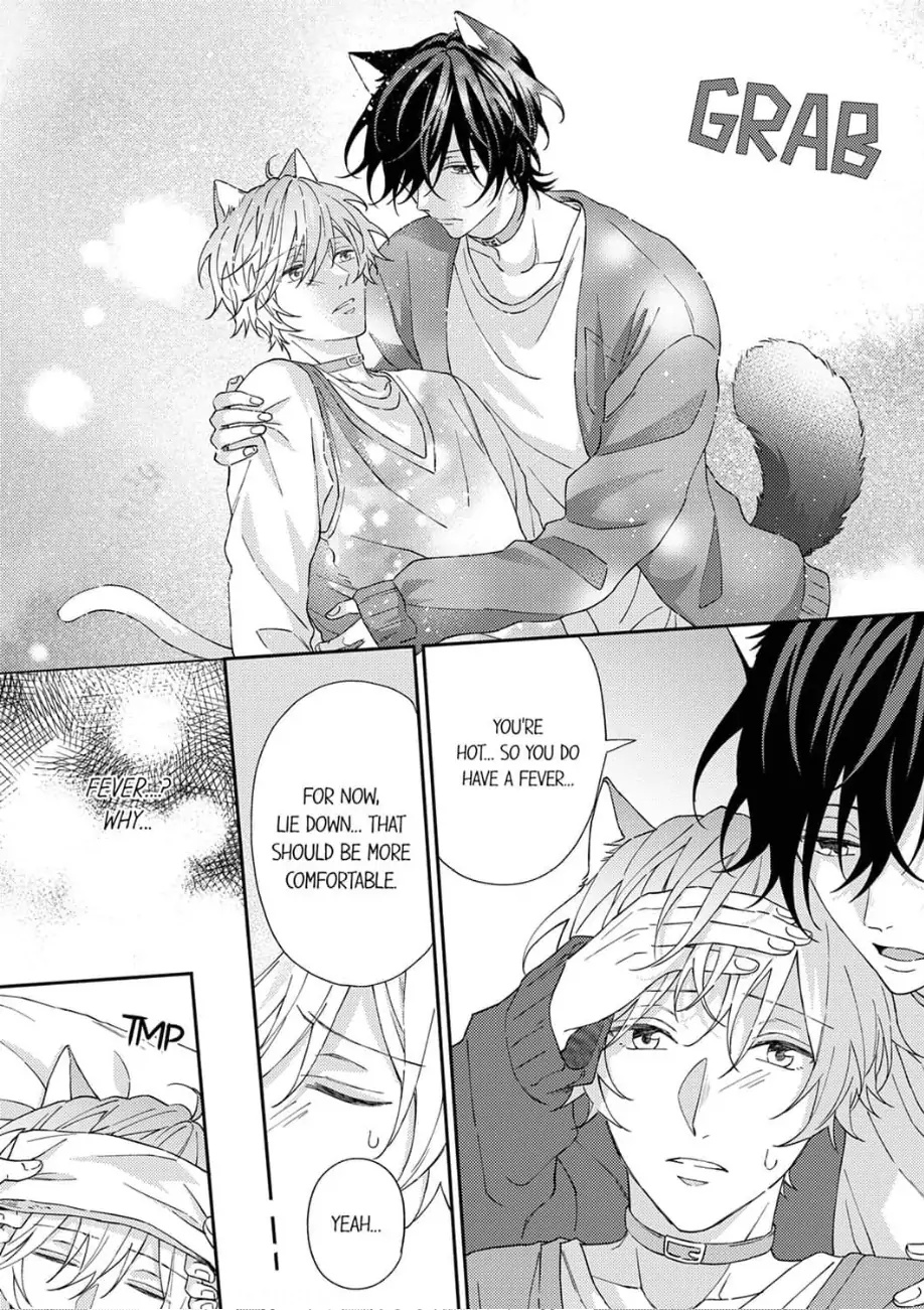 Haru To Rui No Nyanderful Love Life! - Chapter 1