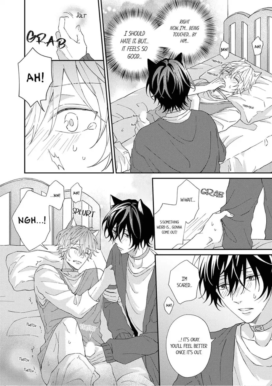 Haru To Rui No Nyanderful Love Life! - Chapter 1