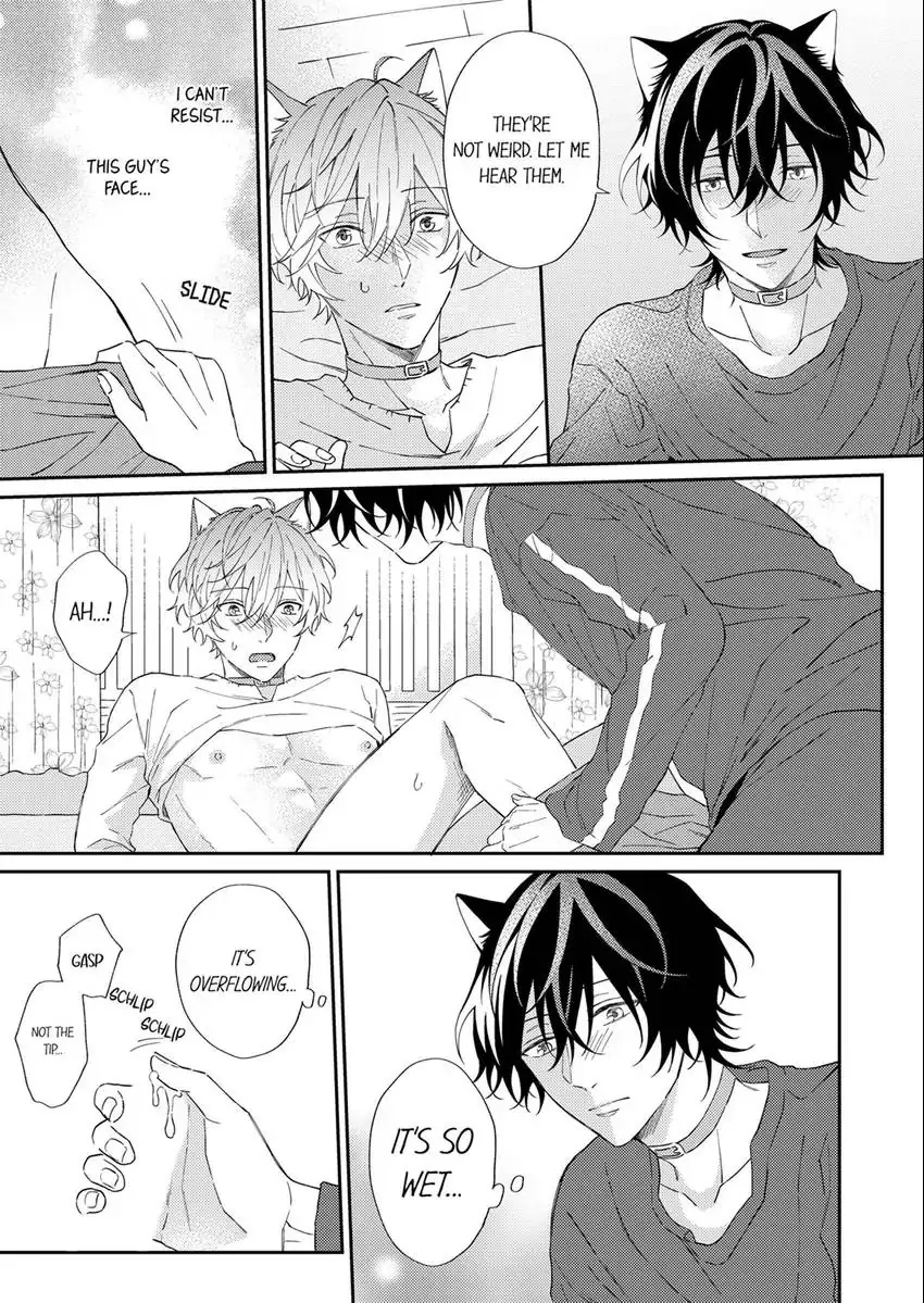 Haru To Rui No Nyanderful Love Life! - Chapter 6