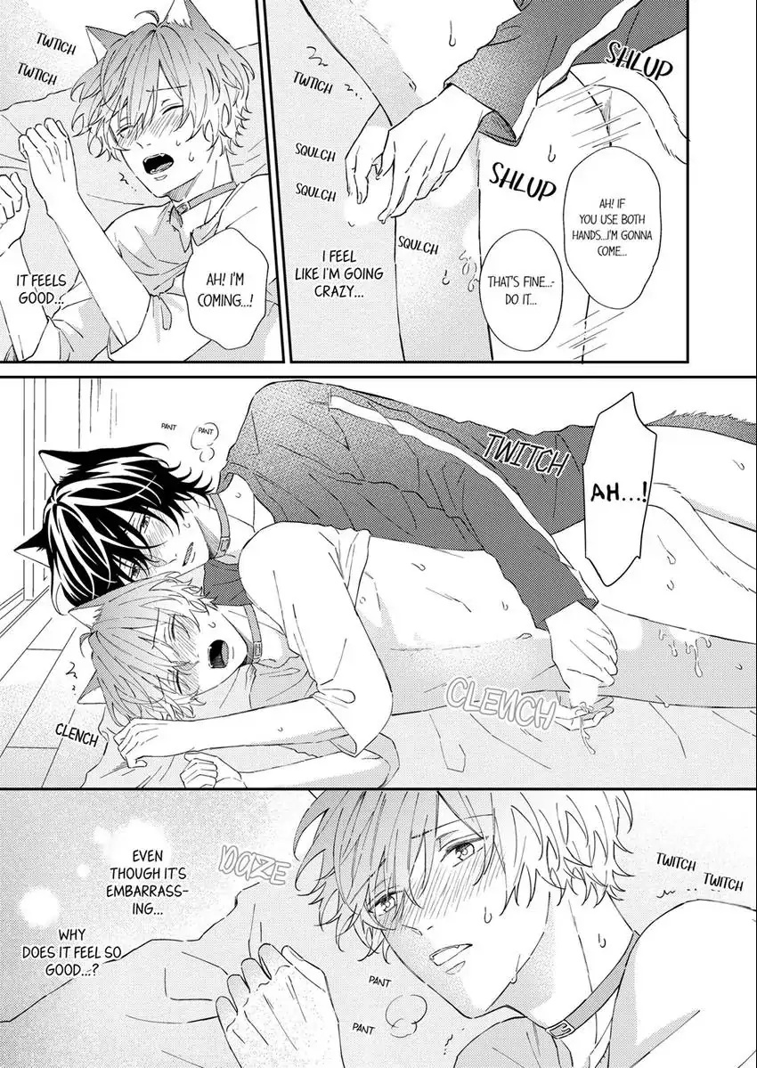 Haru To Rui No Nyanderful Love Life! - Chapter 6