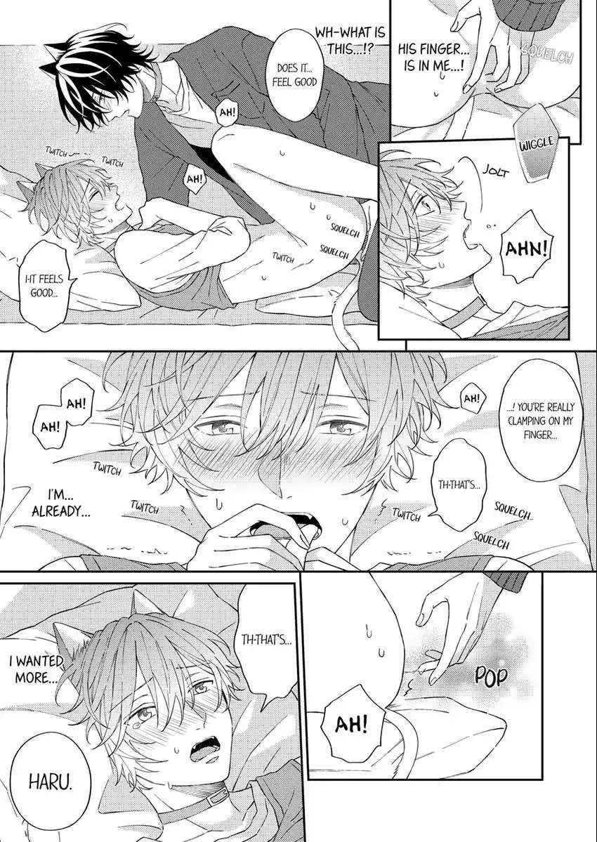 Haru To Rui No Nyanderful Love Life! - Chapter 9