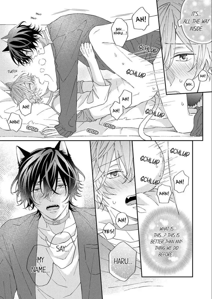 Haru To Rui No Nyanderful Love Life! - Chapter 9