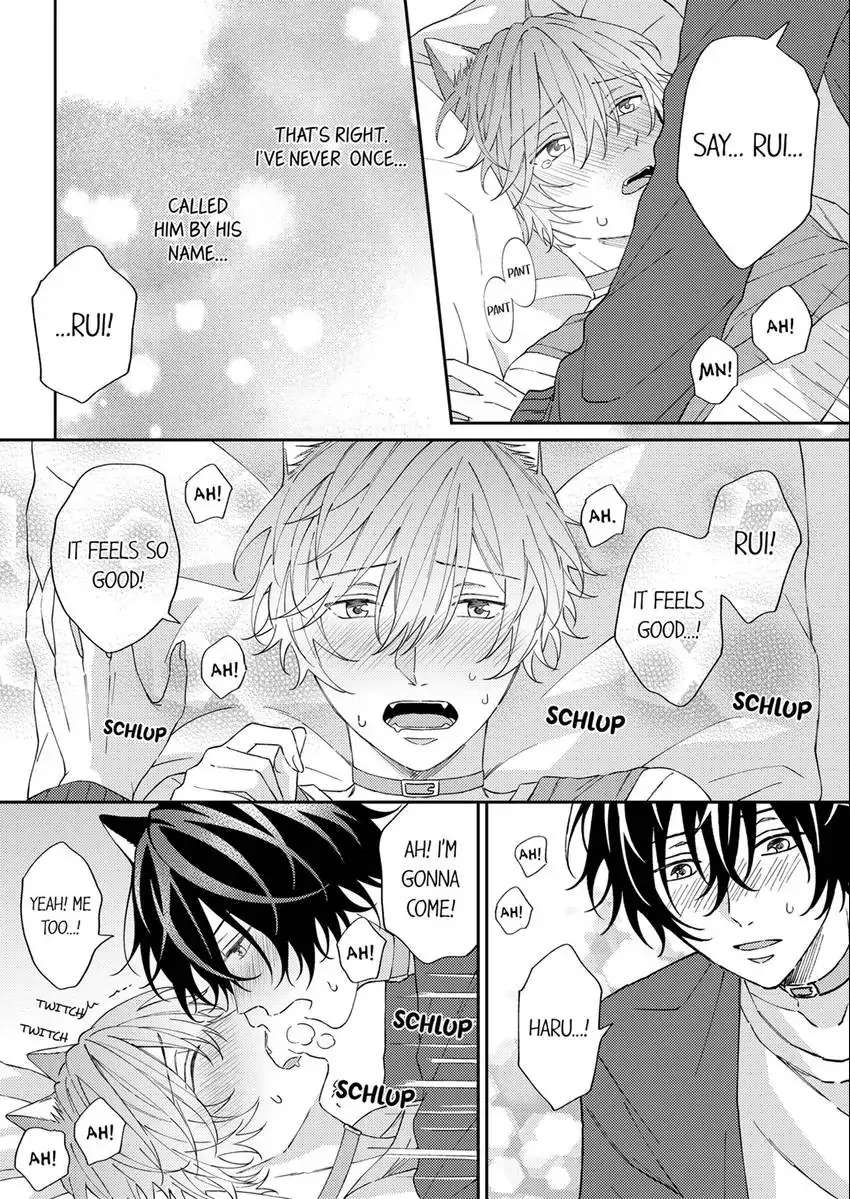 Haru To Rui No Nyanderful Love Life! - Chapter 9