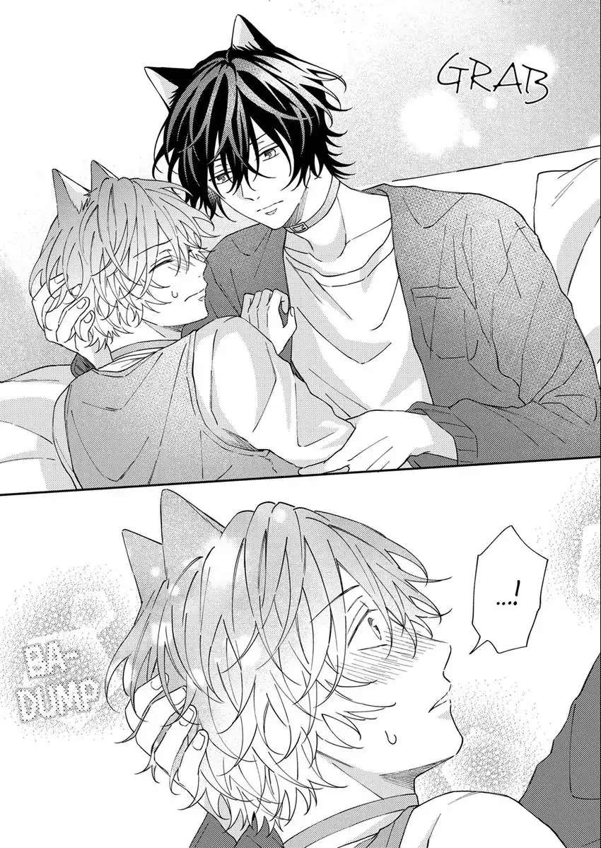 Haru To Rui No Nyanderful Love Life! - Chapter 8