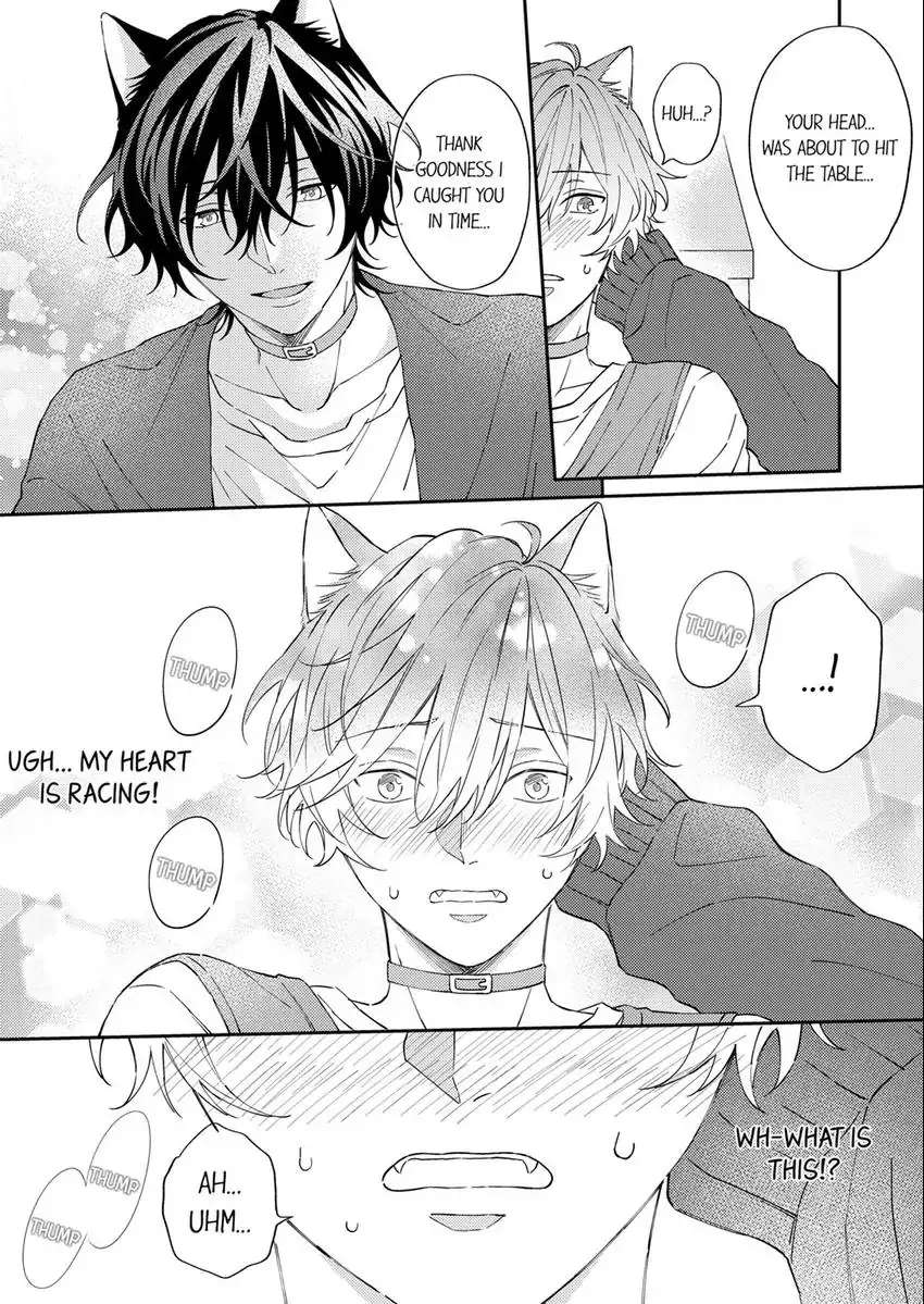 Haru To Rui No Nyanderful Love Life! - Chapter 8