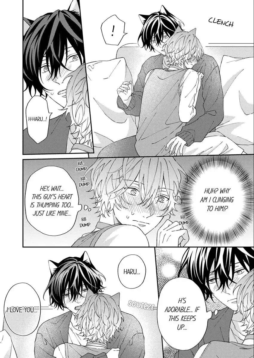 Haru To Rui No Nyanderful Love Life! - Chapter 8